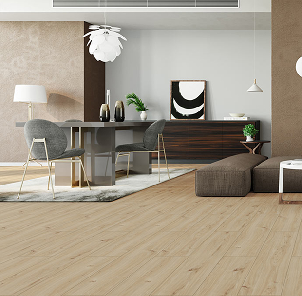 Concepcioshop hírlevél